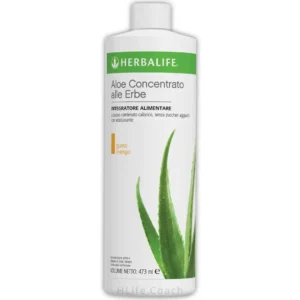 aloe gusto mango herbalife aloe mango