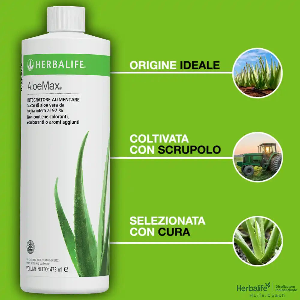 aloe max herbalife aloe vera