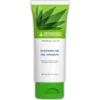 gel herbalife aloe vera