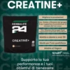 creatina herbalife 24 supporta la performance e gli obiettivi di benessere creatina herbalife 24 supporta la performance e gli obiettivi di benessere